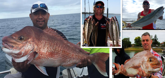 Melbourne/Port Phillip Bay corporate fishing charters. From $100 per person.